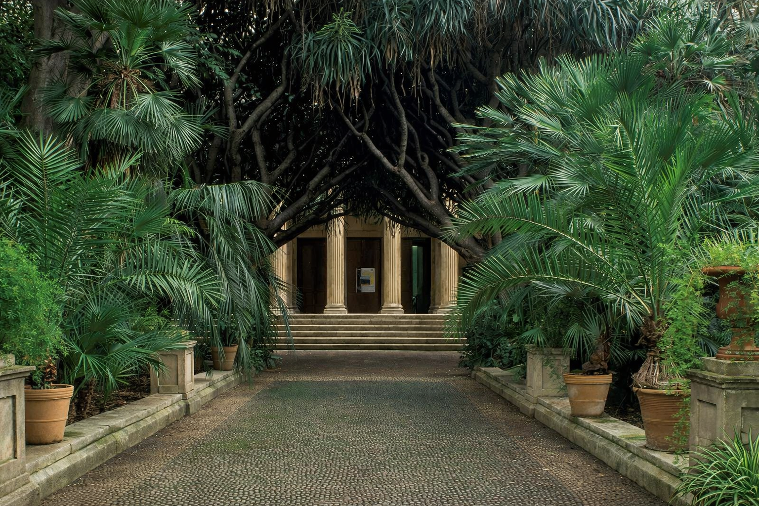 Pathway leading to a classic Sicilian building with lush greenery on either side